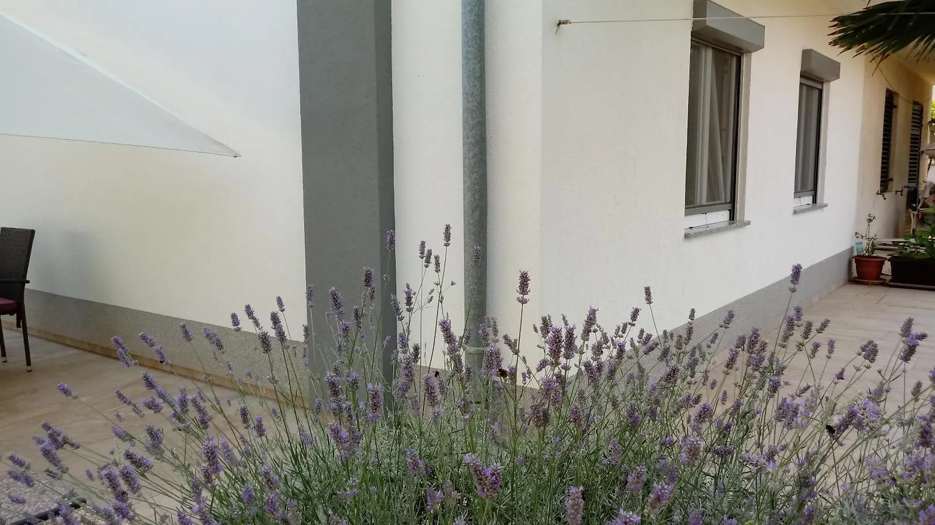 Apartment Violeta 풀라
