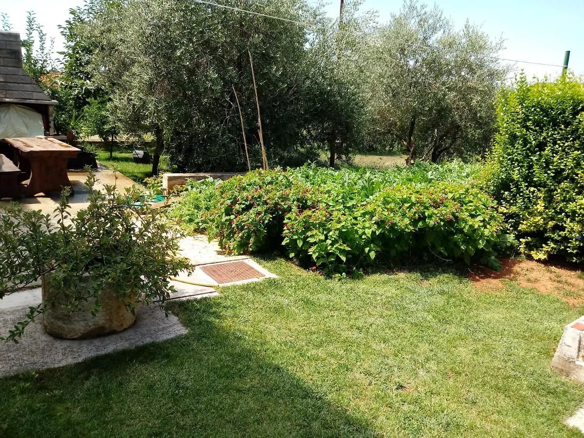 Apartment Violeta Pula